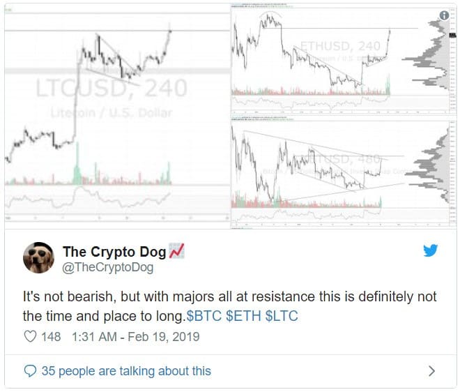 توییت the crypto dog