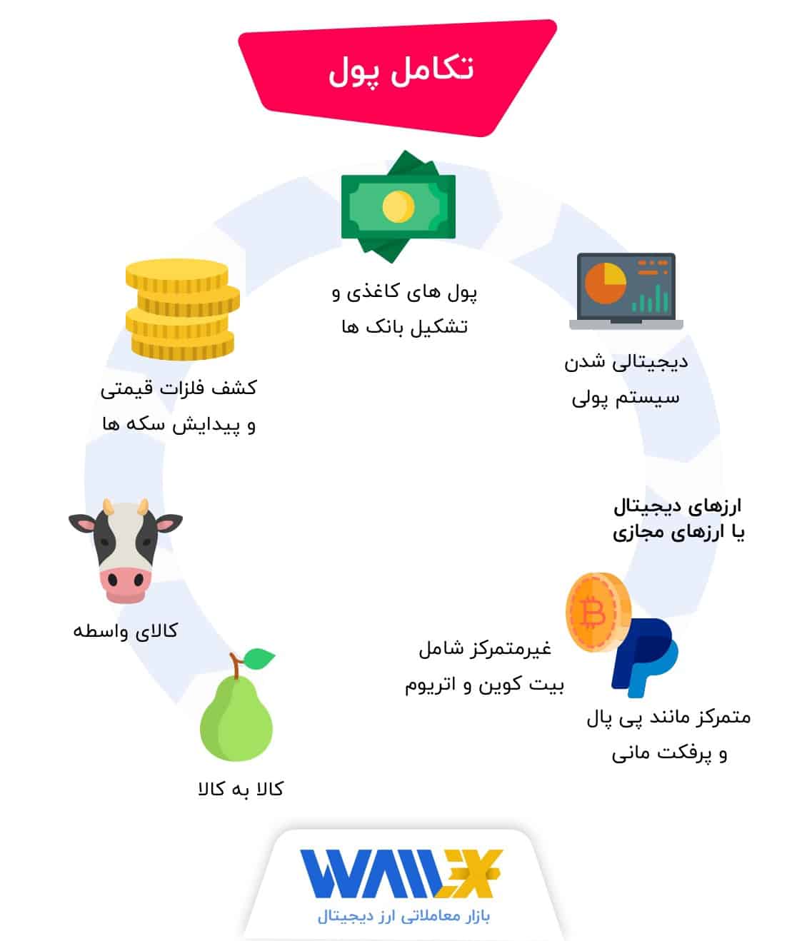 تکامل پول
