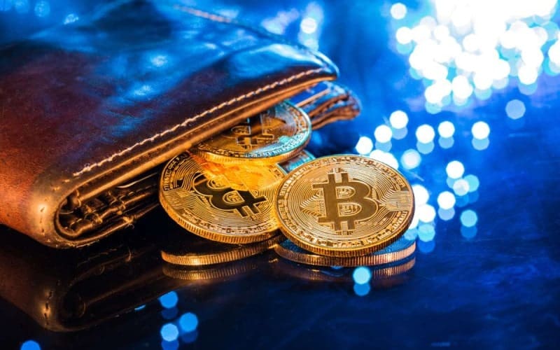 اصطلاحات ارز دیجیتال درباره کیف پول