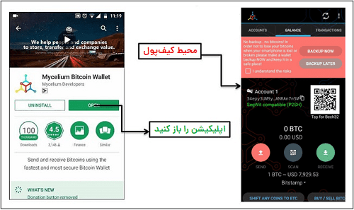 نصب مایسلیوم