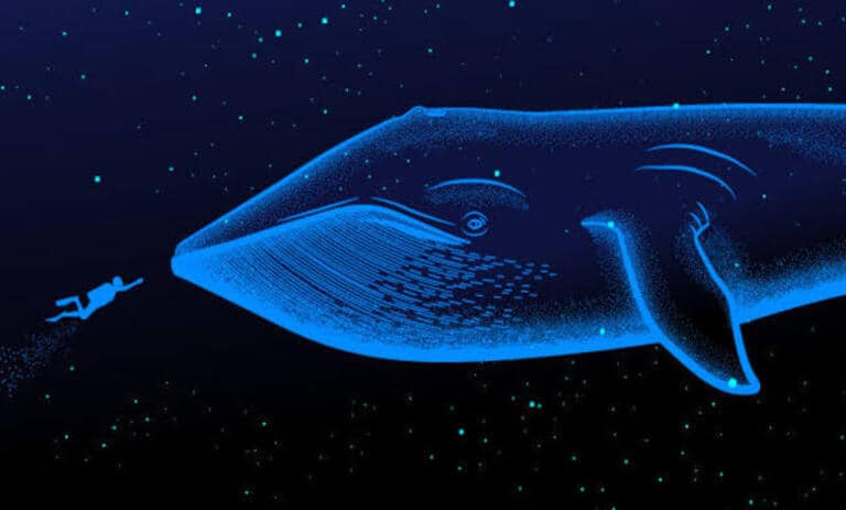 خطرات دنبال کردن نهنگ‌های ارز دیجیتال
