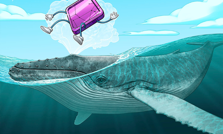 فروش 1010 ان‌اف‌تی توسط یک نهنگ