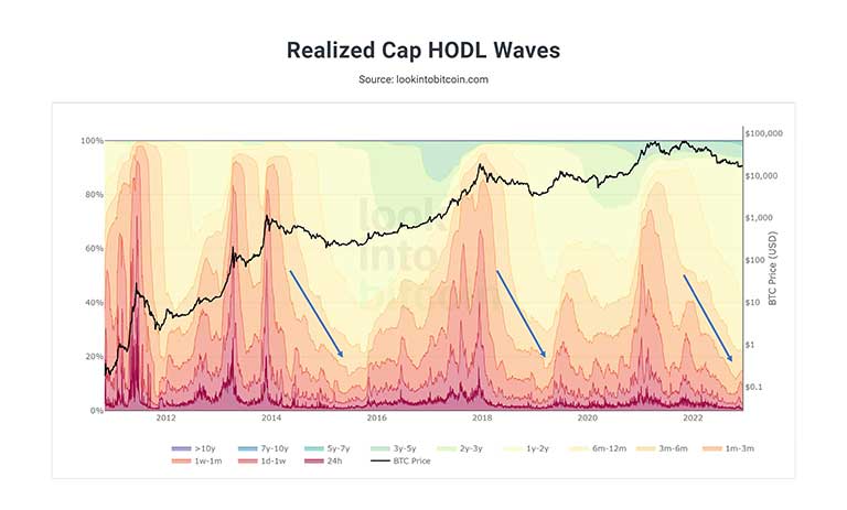 امواج HODL ارزش واقعی بیت کوین