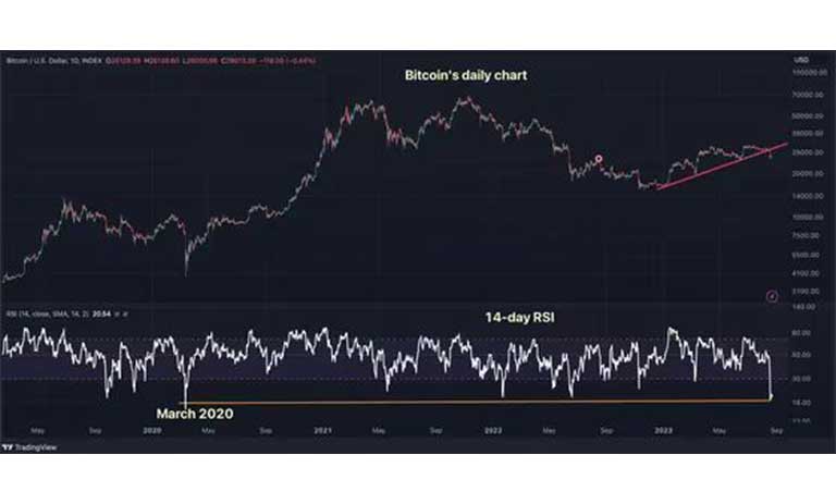 RSI 14 به پایین‌ترین سطح خود از مارس ۲۰۲۰ رسیده است