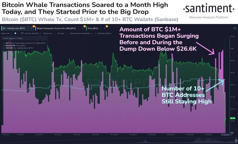 fate-of-digital-currency-market-2023