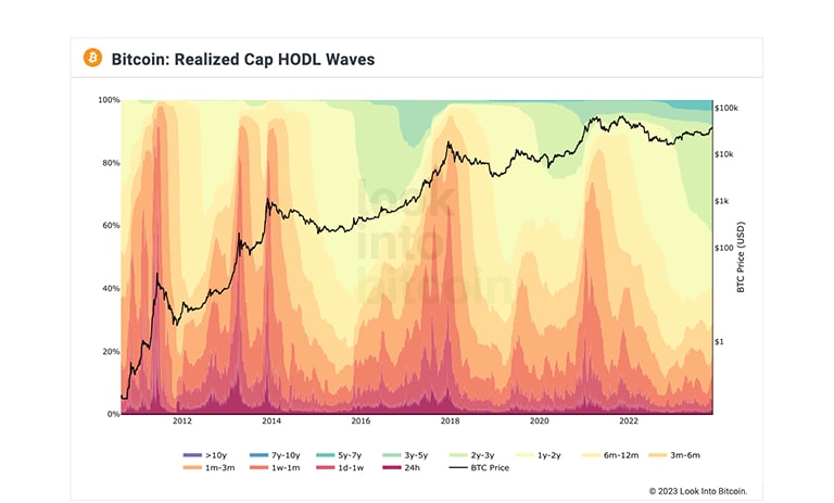 نمودار امواج RHODL بیت کوین