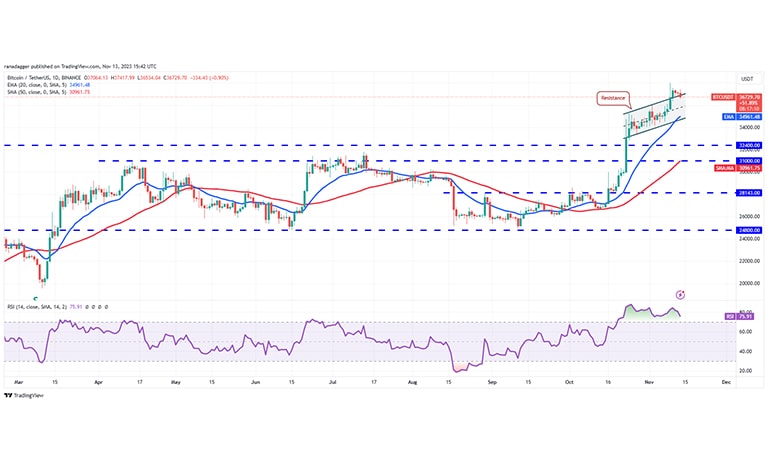 نمودار قیمت روزانه بیت کوین