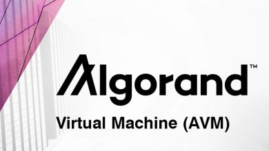 ماشین مجازی الگورند (AVM)