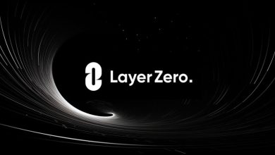 معرفی پروژه Layer zero