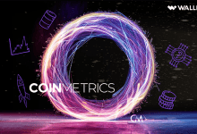 شرکت Coin Metrics