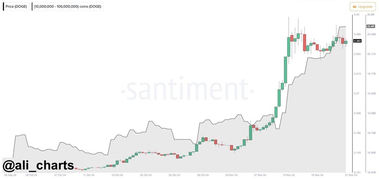 چارت قیمت DOGE