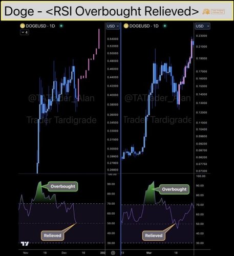 پیش بینی قیمت دوج کوین