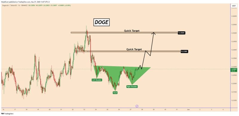 پیش بینی قیمت DOGE
