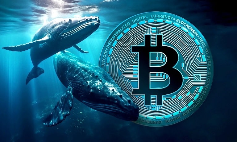 پیش بینی قیمت بیت کوین