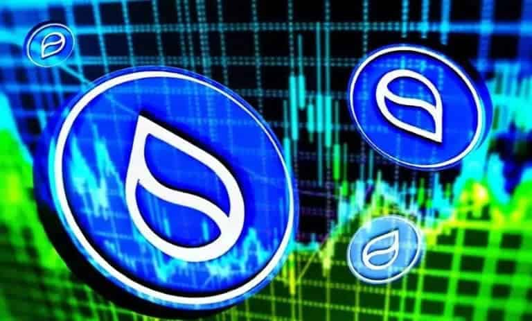 صعود قیمت سویی