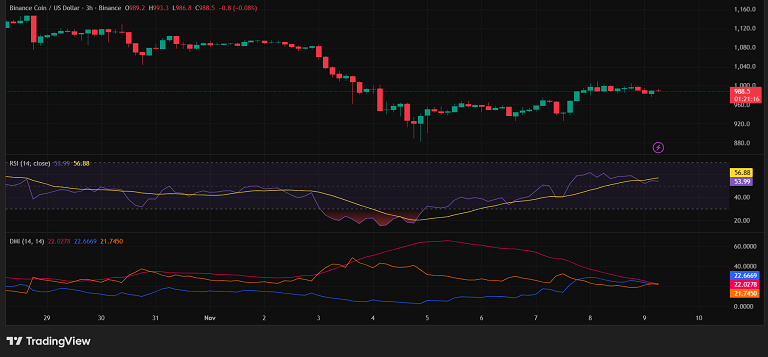 بایننس کوین در آستانه برگشت از کف