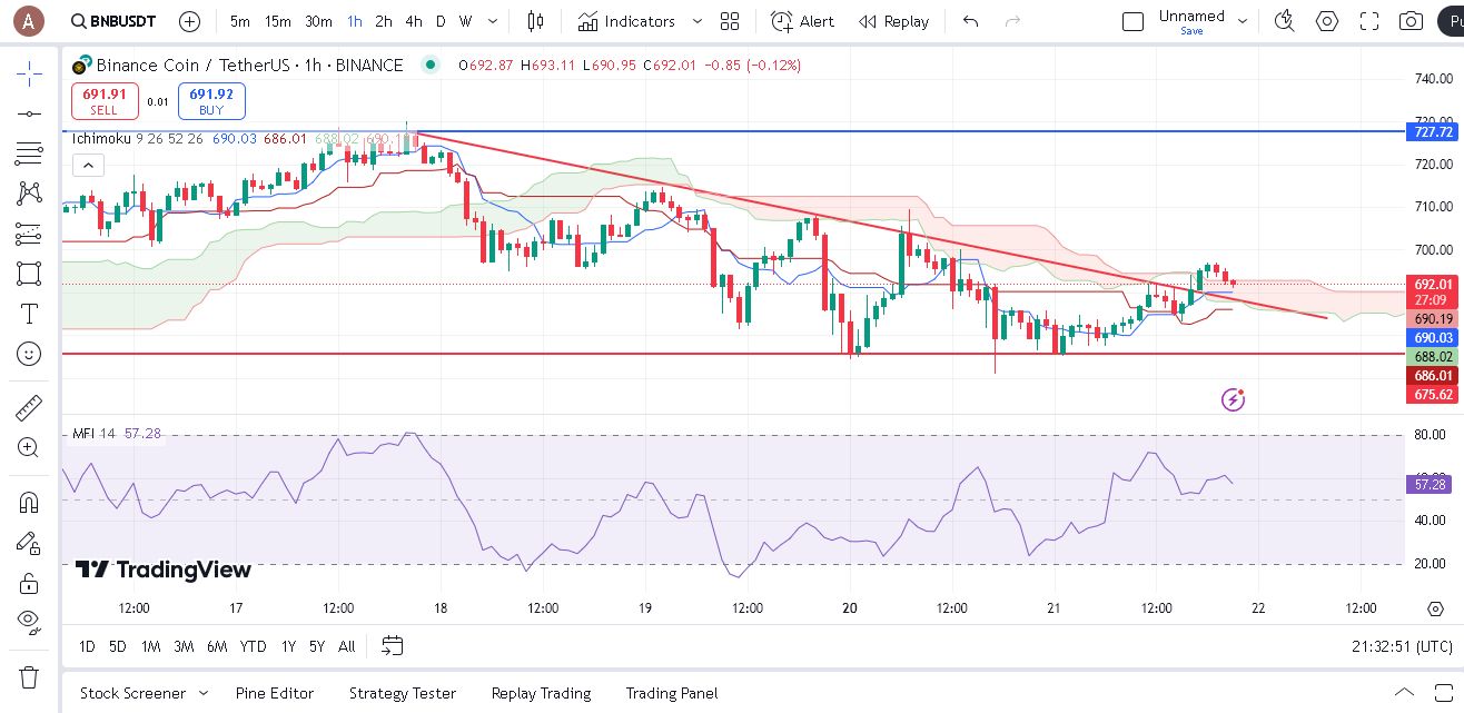 بررسی نمودار ۱ ساعته BNB در ۲ بهمن