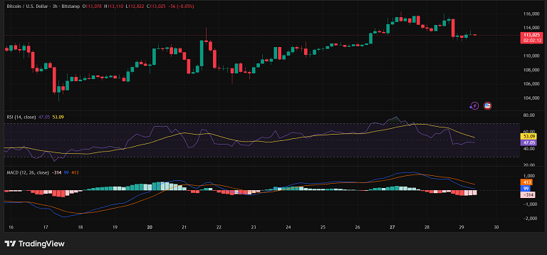 اصلاح سبک بیت کوین قبل از ۱۱۵ هزار دلار؟