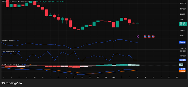بیتکوین درگیر با مومنتوم منفی