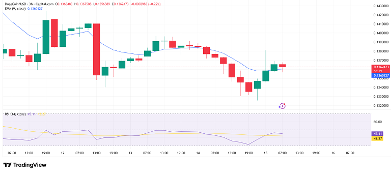 سیگنال متفاوت از دوج کوین روی حمایت کلیدی