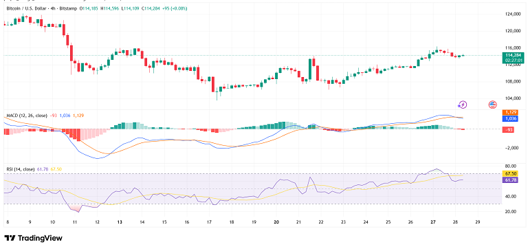 تضعیف قدرت بیت کوین برای عبور از ۱۱۴ هزار دلار