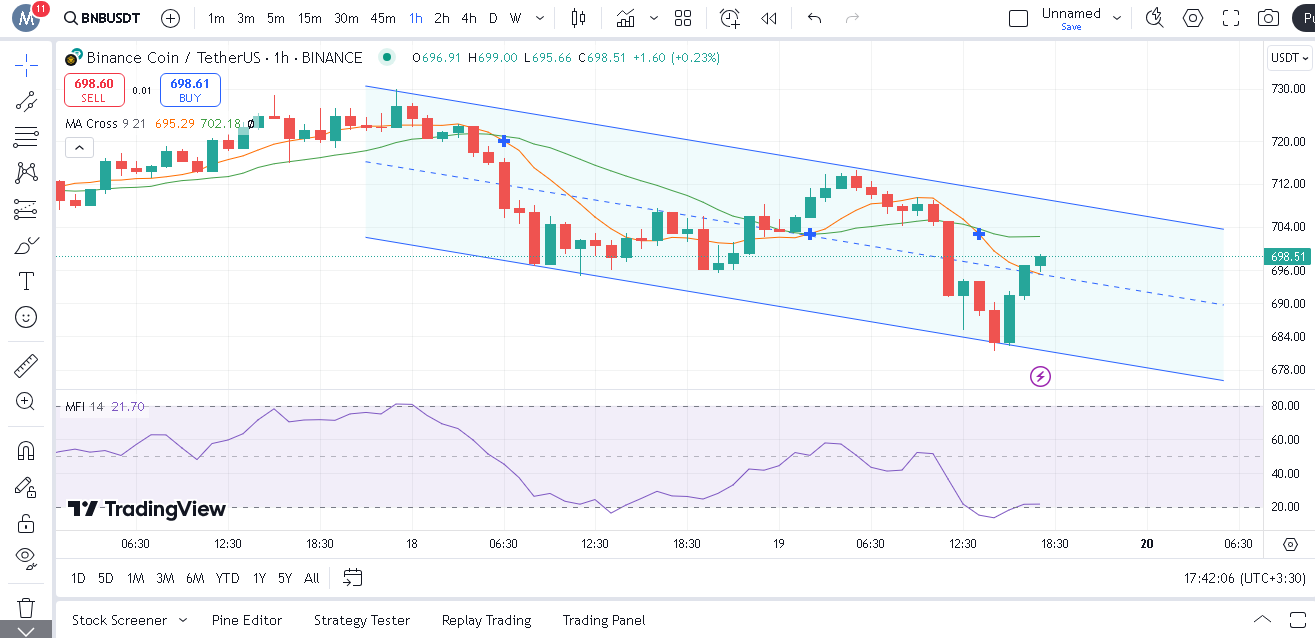 بررسی کانال قیمتی BNB در تایم فریم ۱ ساعته ۳۰ دی