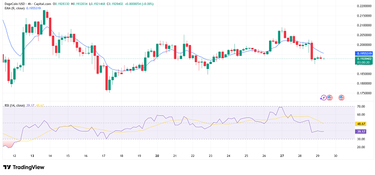 دوج کوین و نبرد خسته کننده در محدوده حمایت