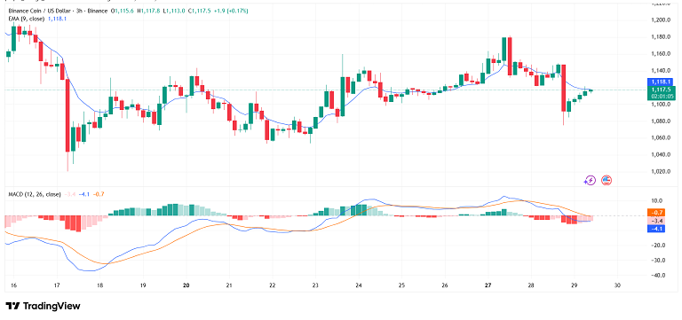 مکث کوتاه بایننس کوین بعد از موج نزولی