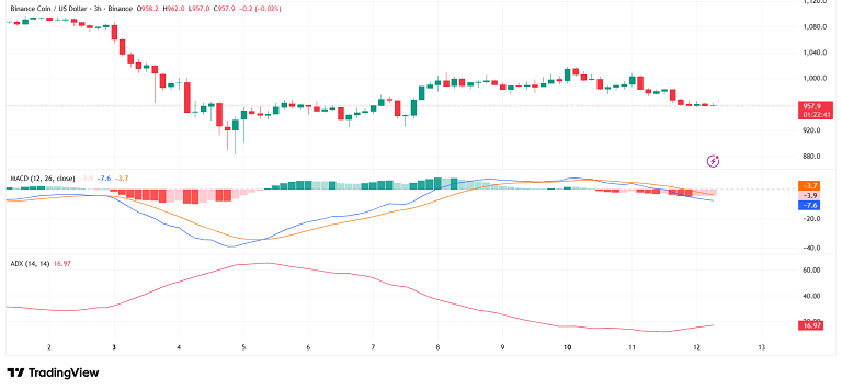 تحلیل روند خسته بایننس کوین
